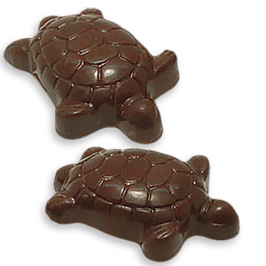 Vegan Annie (Turtles)